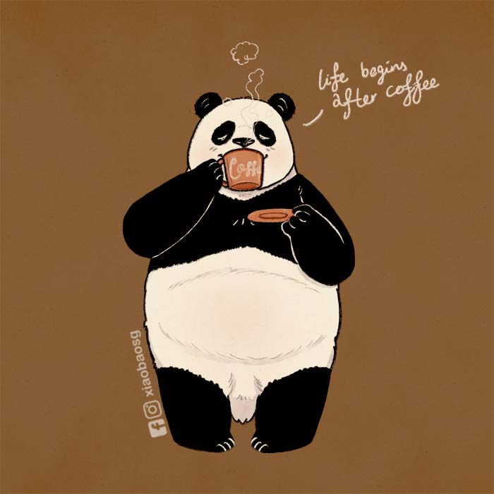 Life Begins After Coffee