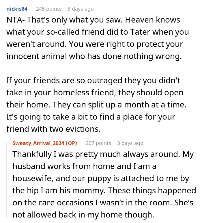 Woman Called A &ldquo;Monster&rdquo; For Letting Her Friend Be Homeless As She Mistreats Her Dog 