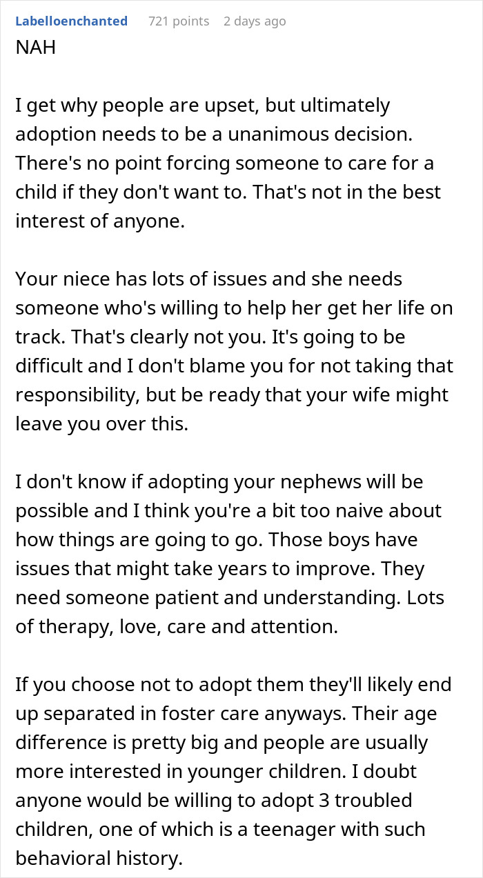&ldquo;AITA For Telling My Wife We Can Adopt Her Nephews But Not Her Niece?&rdquo;