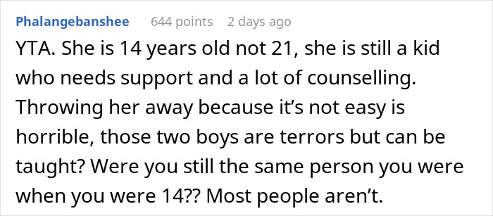&ldquo;AITA For Telling My Wife We Can Adopt Her Nephews But Not Her Niece?&rdquo;