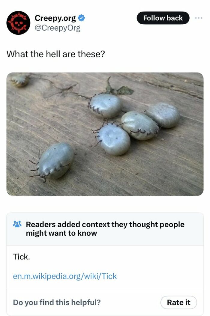 Community-Notes-Violating-People-Fact-Check