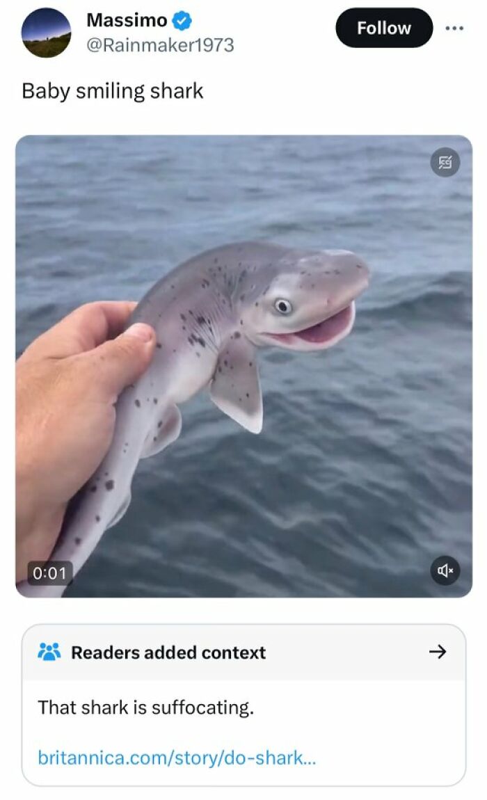 Community-Notes-Violating-People-Fact-Check