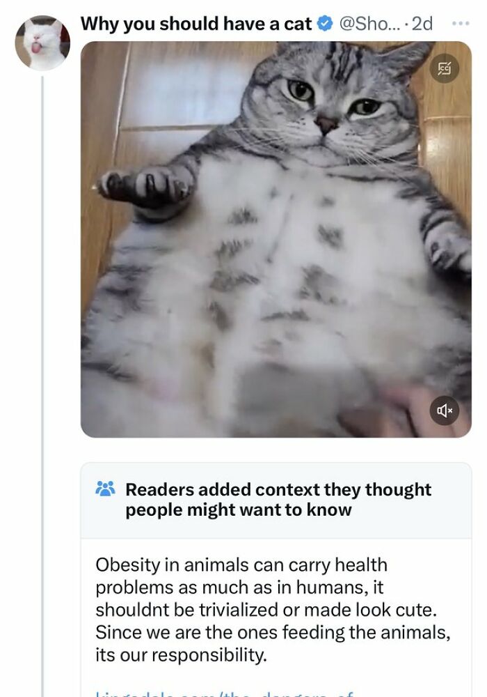 Community-Notes-Violating-People-Fact-Check