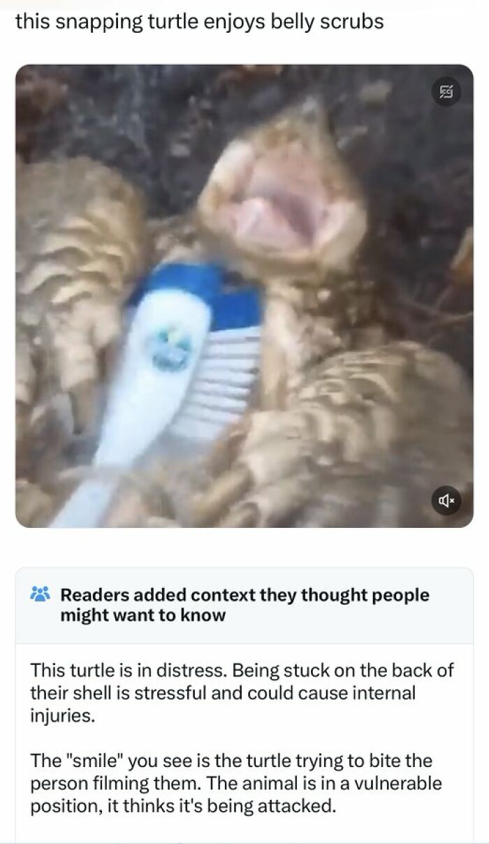 Community-Notes-Violating-People-Fact-Check