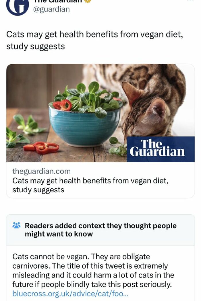 Community-Notes-Violating-People-Fact-Check