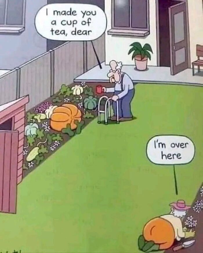 Confusing-Weird-Pics