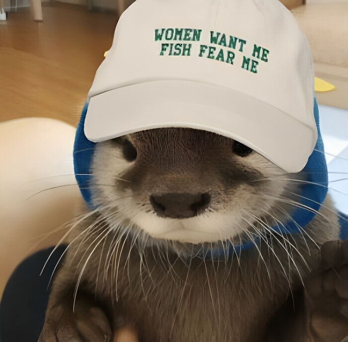 Confusing-Weird-Pics