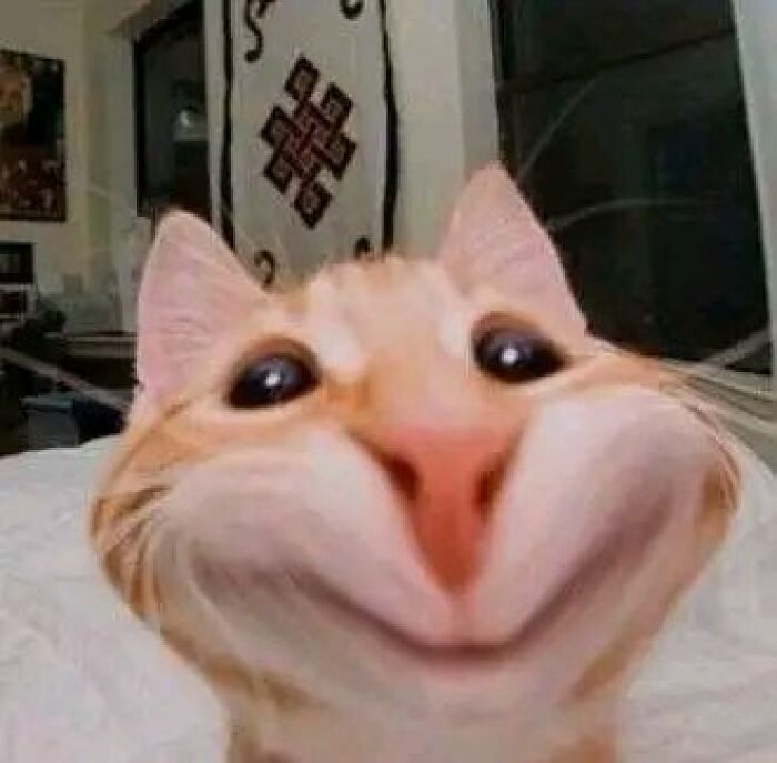 Confusing-Weird-Pics