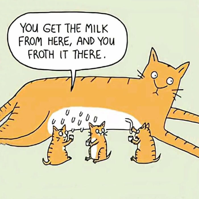 Confusing-Weird-Pics