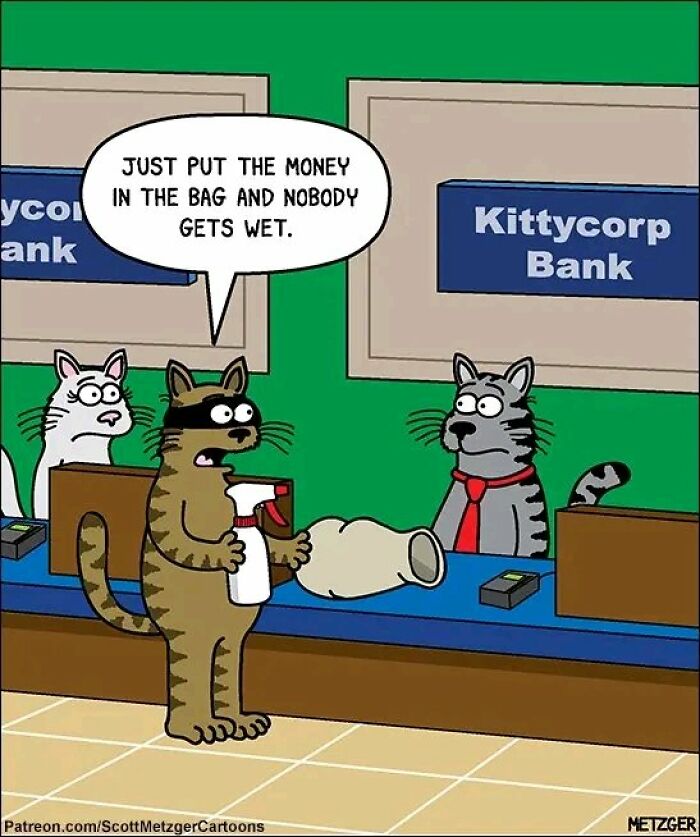 Confusing-Weird-Pics