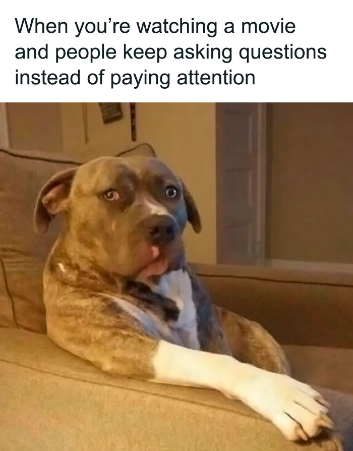 Confusing-Weird-Pics