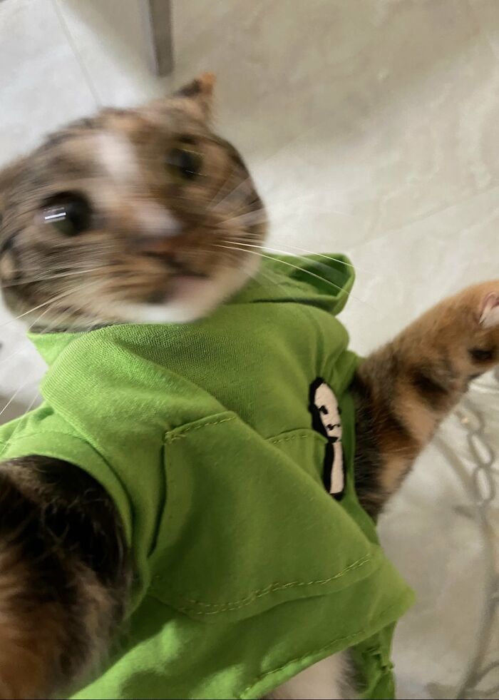 “Pics That Go Hard”: 30 Images That Aren’t For The Fainthearted, As Shared On This X Page