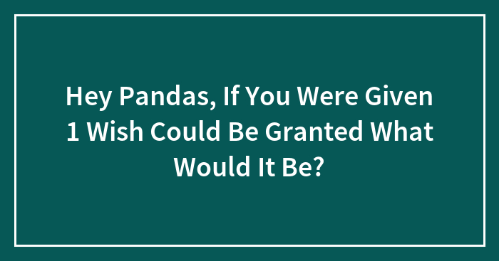 Hey Pandas, If You Were Given 1 Wish Could Be Granted What Would It Be?