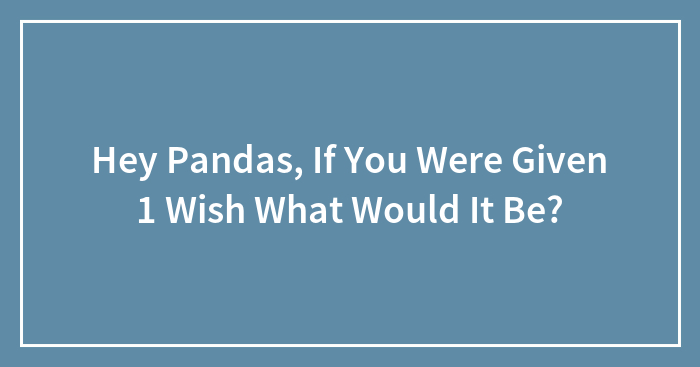Hey Pandas, If You Were Given 1 Wish What Would It Be?