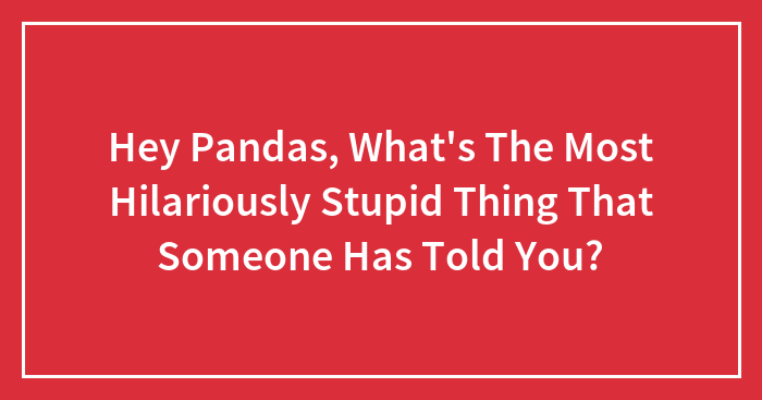 Hey Pandas, What’s The Most Hilariously Stupid Thing That Someone Has Told You?