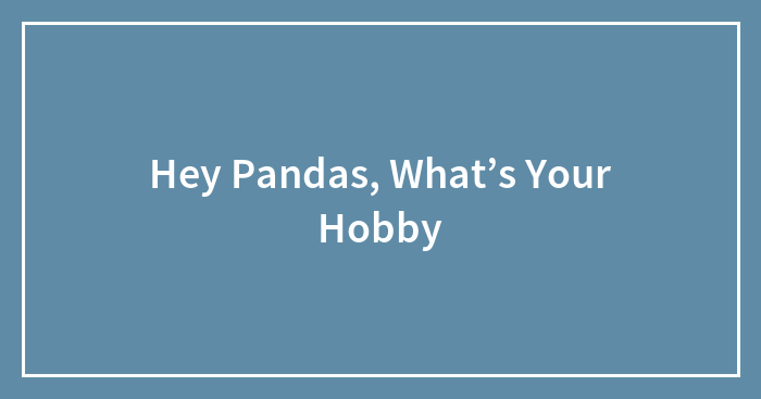 Hey Pandas, What’s Your Hobby