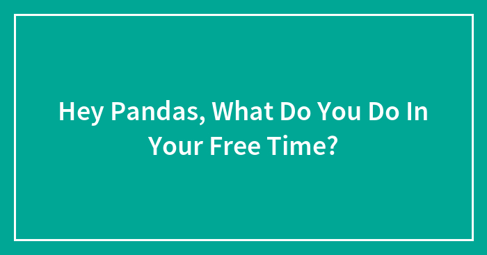 Hey Pandas, What Do You Do In Your Free Time?