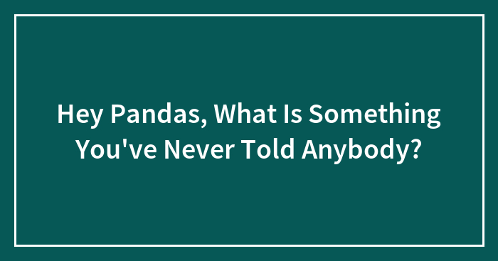 Hey Pandas, What Is Something You’ve Never Told Anybody?