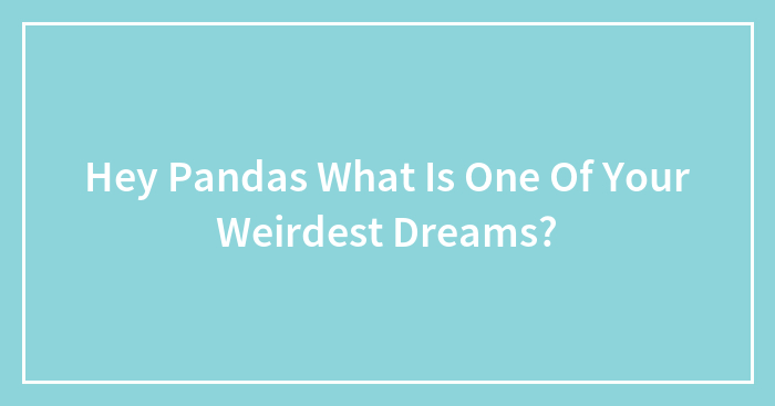 Hey Pandas What Is One Of Your Weirdest Dreams?