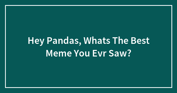 Hey Pandas, What’s The Best Meme You Ever Saw?