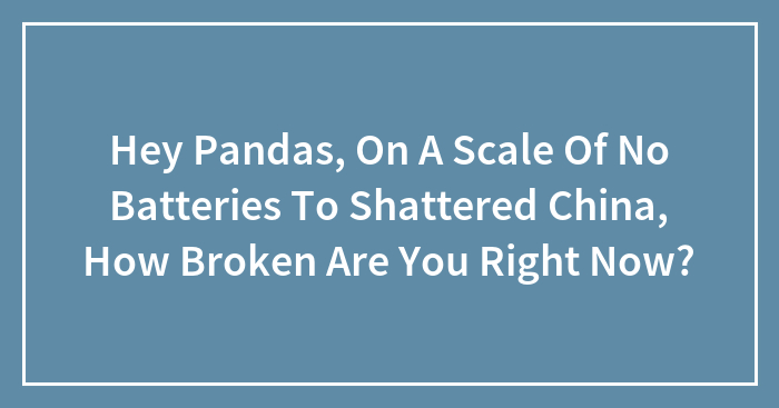 Hey Pandas, On A Scale Of No Batteries To Shattered China, How Broken Are You Right Now?