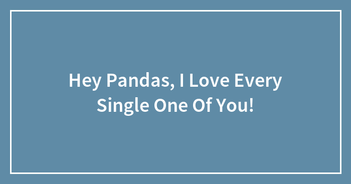 Hey Pandas, I Love Every Single One Of You!