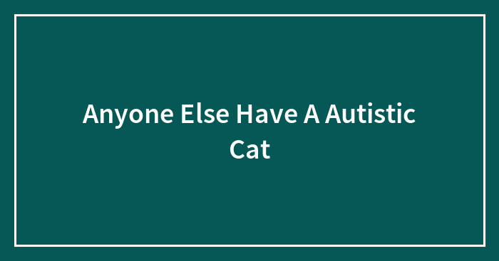 Anyone Else Have A Autistic Cat