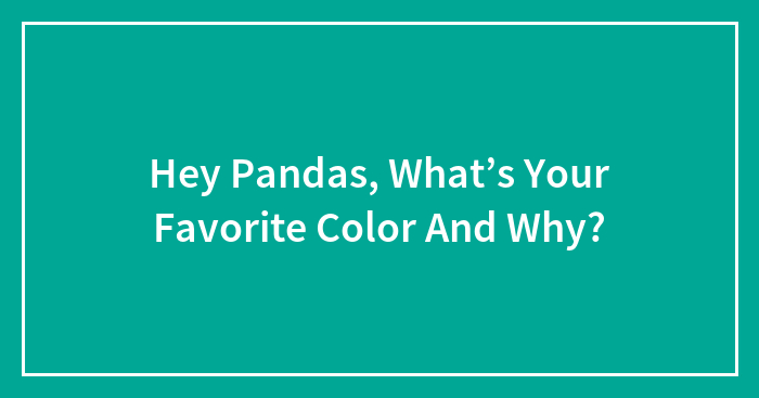 Hey Pandas, What’s Your Favorite Color And Why?