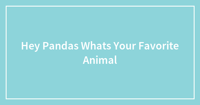 Hey Pandas Whats Your Favorite Animal
