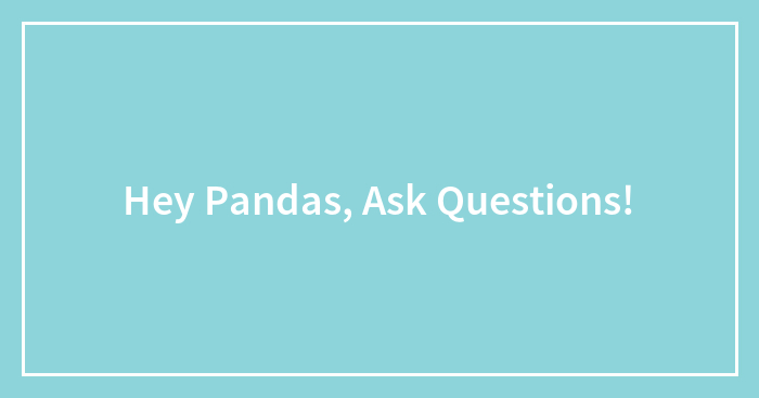 Hey Pandas, Ask Questions!