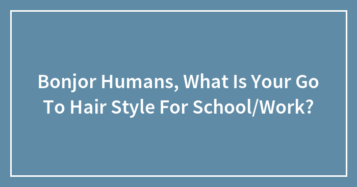 Bonjor Humans, What Is Your Go To Hair Style For School/Work?