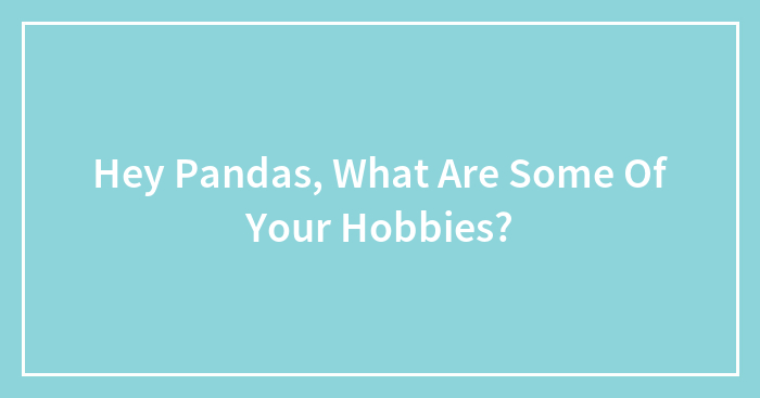 Hey Pandas, What Are Some Of Your Hobbies?