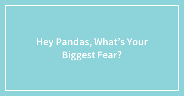 Hey Pandas, What’s Your Biggest Fear?