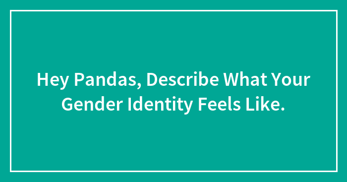 Hey Pandas, Describe What Your Gender Identity Feels Like.