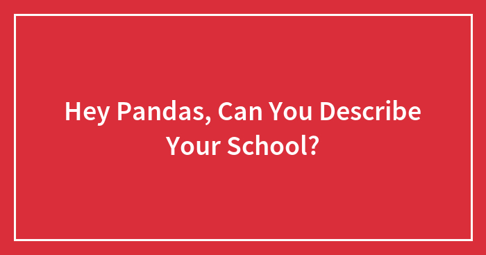 Hey Pandas, Can You Describe Your School?
