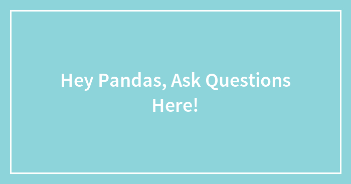 Hey Pandas, Ask Questions Here!