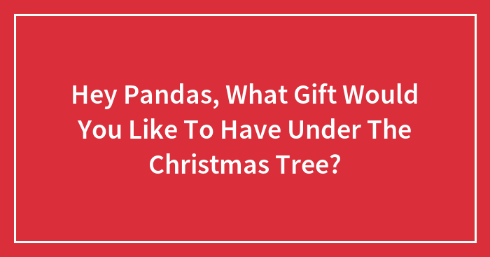 Hey Pandas, What Gift Would You Like To Have Under The Christmas Tree?