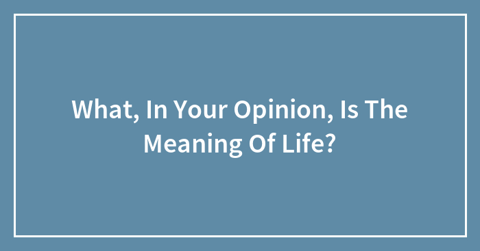 What, In Your Opinion, Is The Meaning Of Life?