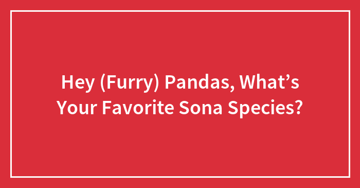 Hey (Furry) Pandas, What’s Your Favorite Sona Species?