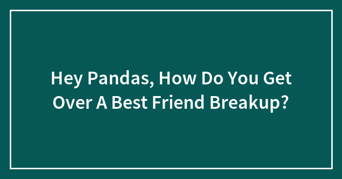 Hey Pandas, How Do You Get Over A Best Friend Breakup? (Closed)