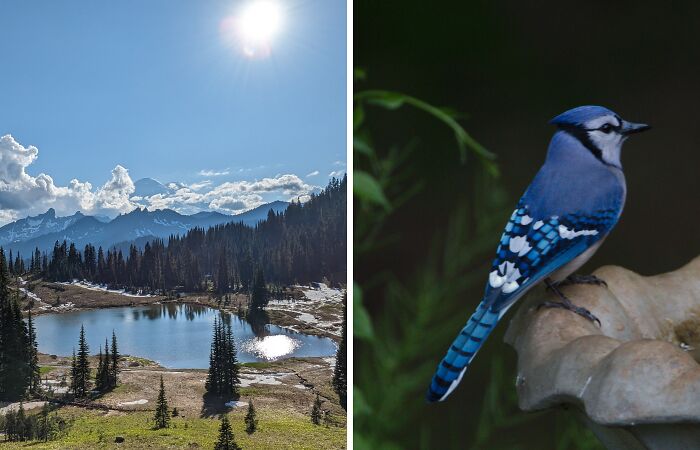 Hey Pandas, Show Me Something That’s Beautiful To You (Closed)