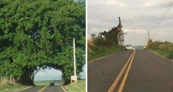 This X Page Is Sharing ‘Then And Now’ Pics, Here Are 50 Of The Most Interesting Ones