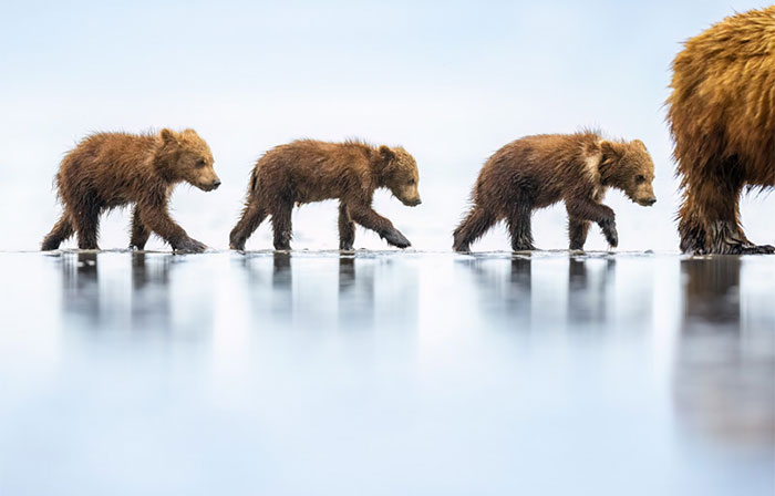 Meet The Winners: 30 Impressive Photos From The Nature Photographer Of The Year 2023 Awards