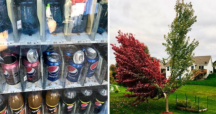 47 Fotos mostrando todo el poder de la madre naturaleza (nuevas fotos)