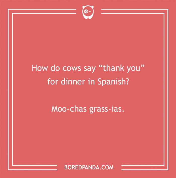 Cow pun joke asking how cows say thank you for dinner in Spanish with the punchline Moo-chas grass-ias. - 1