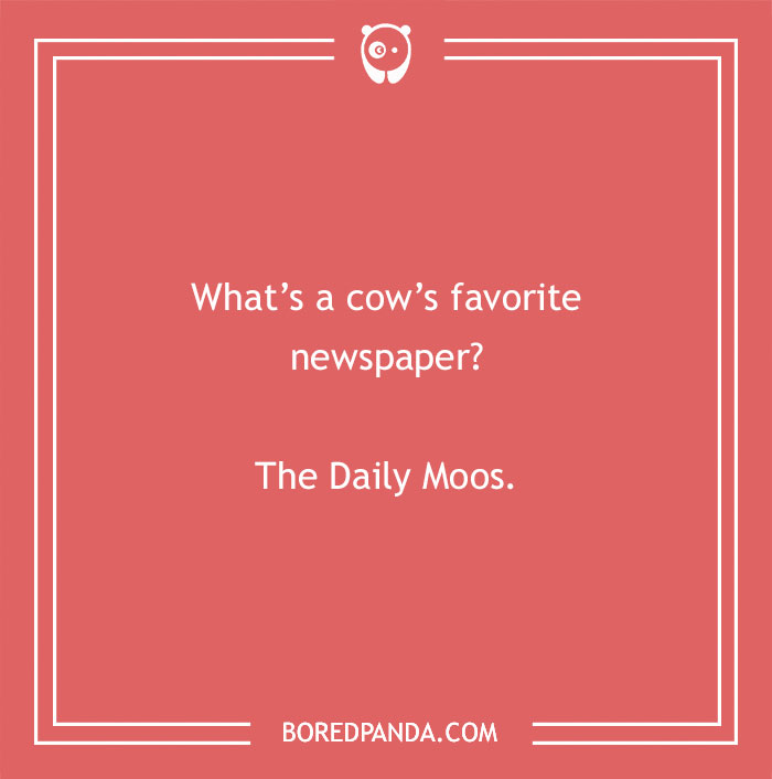 Cow pun joke on a red background asking about a cow’s favorite newspaper called The Daily Moos. - 12
