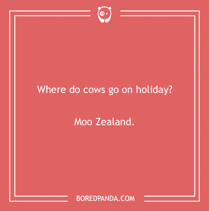 Cow pun joke asking where cows go on holiday with the punchline Moo Zealand highlighting cow puns humor. - 14