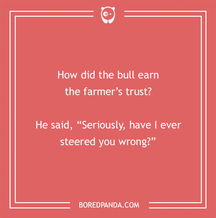 Cow pun on a red background asking how the bull earned the farmer’s trust with a clever steering joke. - 16