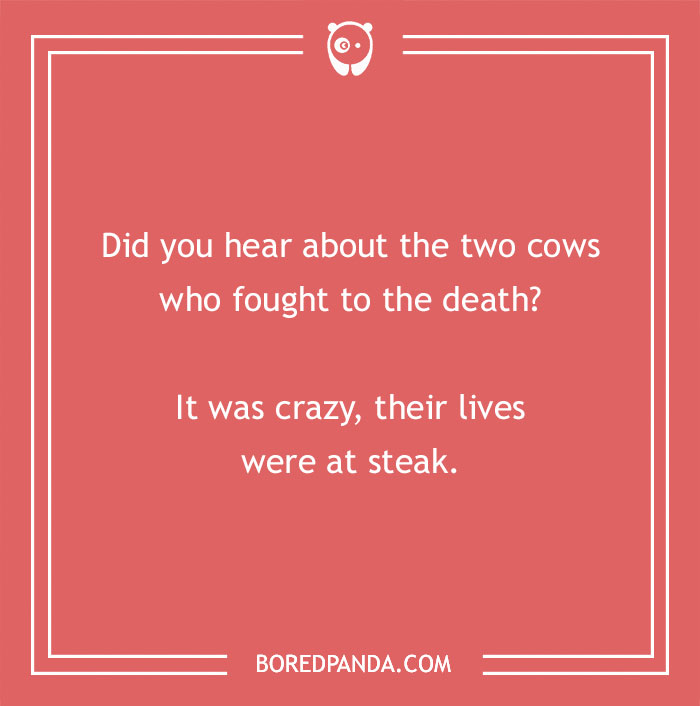 Cow pun joke on a red background about two cows fighting to the death with lives at steak. - 17