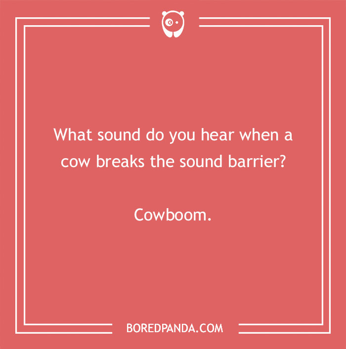 Cow pun on a red background asking about the sound when a cow breaks the sound barrier with the answer cowboom. - 19
